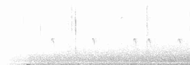 "Шишкар ялиновий (Northeastern, або тип 12)" - ML616814647