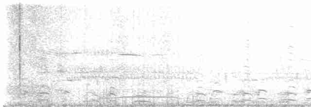 Cygne siffleur - ML616814718