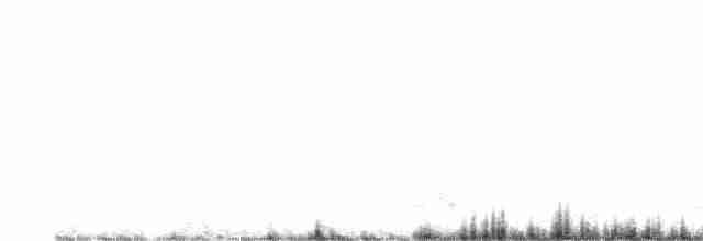 Common Redshank - ML616814764