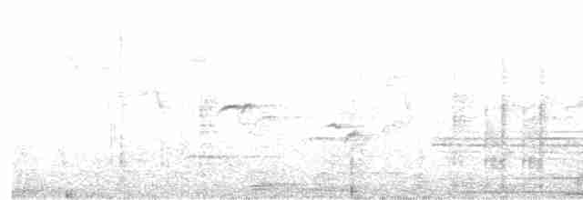 Рыжезвёздная мухоловка - ML616814885