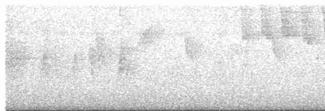 Little Tinamou - ML616815619