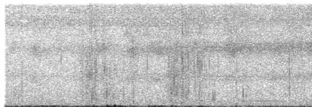 Little Tinamou - ML616815623