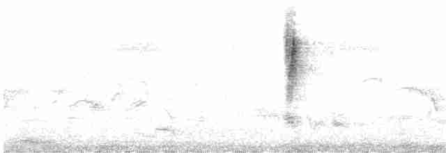 Атласная нектарница - ML616815792