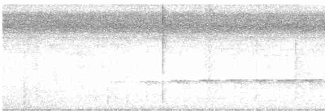 Schwarzkopf-Ameisenschnäpper - ML616816013