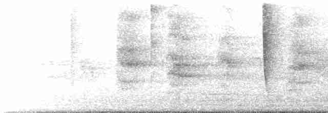 Колібрі-лісовичок буроголовий - ML616817267