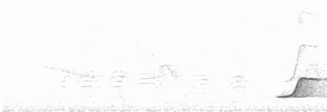 Татаупа білобровий - ML616817662