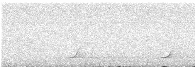 Pale-browed Tinamou - ML616817783