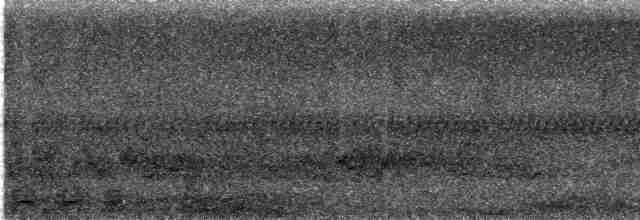 Gök Sakallı Arıkuşu - ML616818484