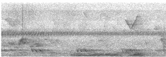Crested Finchbill - ML616818491