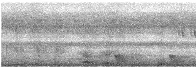 Large-tailed Nightjar - ML616818821