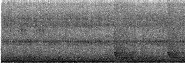 Large-tailed Nightjar - ML616818822