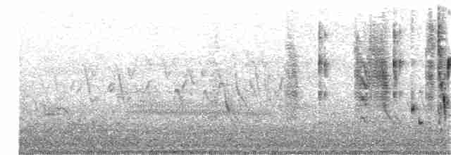 Troglodyte des marais - ML61681891