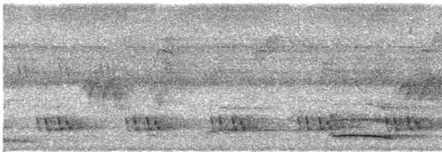 Личинкоїд сірий - ML616819171