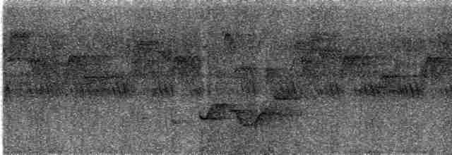 Bulbul cap-nègre - ML616819176
