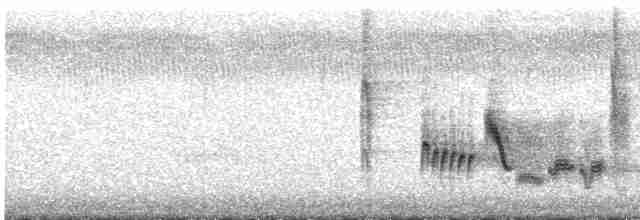Vireo Ojiblanco - ML616819284