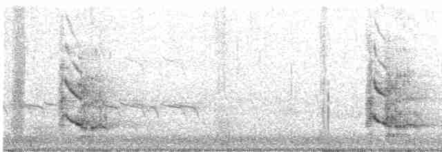 Royal Tern - ML616819291
