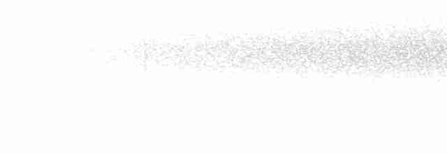 Batı Amerika Sinekkapanı (occidentalis/hellmayri) - ML616819419