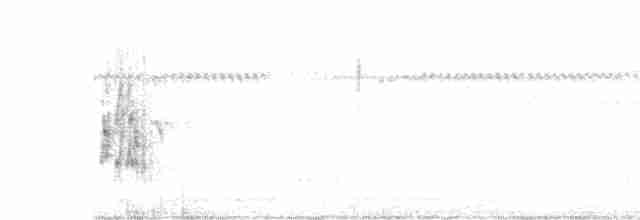 Серогрудый трескунчик - ML616820163