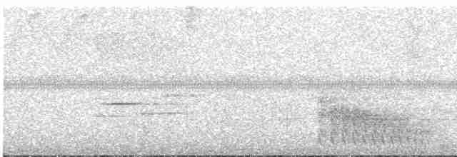 svarthodeskogtrost - ML616820315