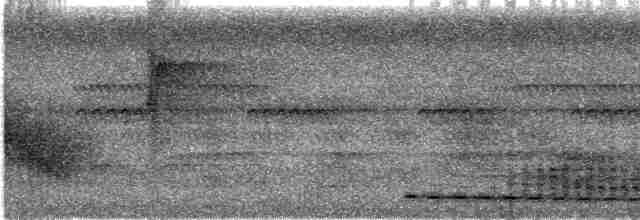 Kestane Kanatlı Çalı Timalyası - ML616820881