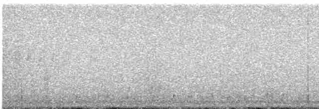 Mirlo Acuático Norteamericano - ML616820949