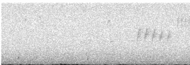 Пронурок сірий - ML616820950