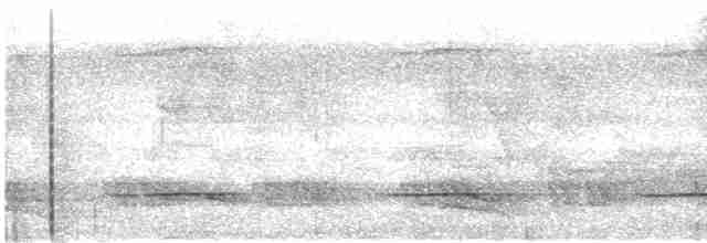 Полосатый зимородок - ML616820985