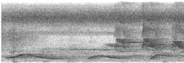 Дятел-коротун смугастокрилий - ML616821207