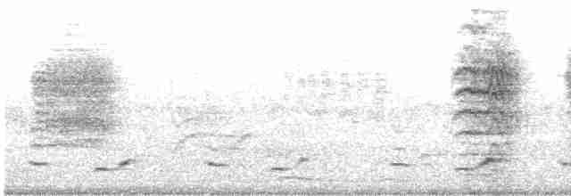 Перепелиця смугаста - ML616821494