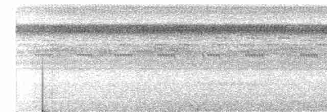 Çalı Tinamusu - ML616821551
