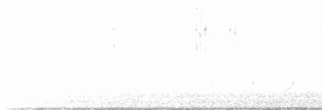 Chochín Hiemal - ML616821948
