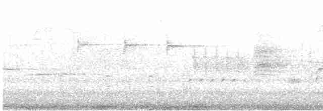 Pic chevelu (groupe villosus) - ML616822328