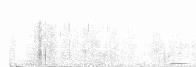 Талпакоті сірий - ML616822428