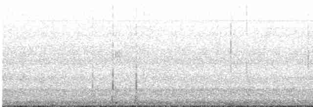 Weißbrustkleiber - ML616824551