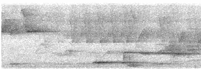Кораловоклювая воронья кукушка - ML616826587