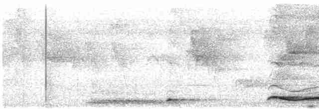 Кораловоклювая воронья кукушка - ML616826588