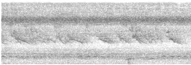 Rostflanken-Brillenvogel - ML616826839
