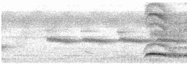 Яванский рогоклюв - ML616826982