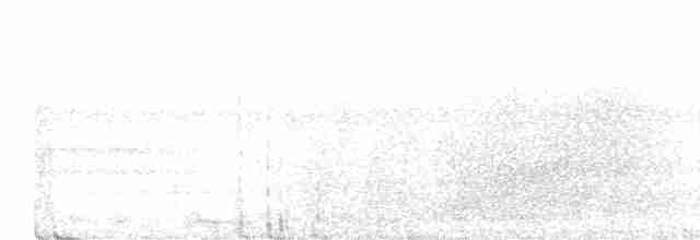 tukan rudozobý - ML616827072