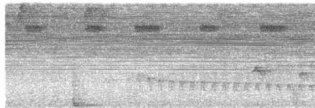 White-flanked Antwren - ML616827325