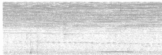 holub šedočelý - ML616827474