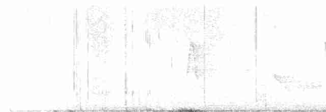 White-eyed Vireo - ML616828130