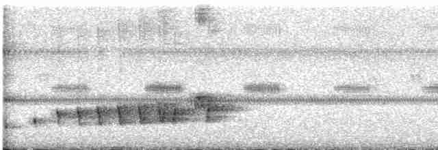 Braunhals-Nachtschwalbe - ML616830161