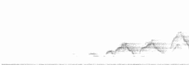 Дрізд-короткодзьоб Cвенсона - ML616830357