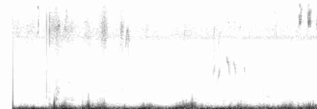 Тиранчик-рудь білочеревий - ML616832184