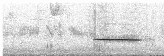 Turuncu Ardıç - ML616832717