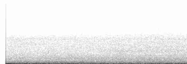 Юнко сірий [група oreganus] - ML616833427