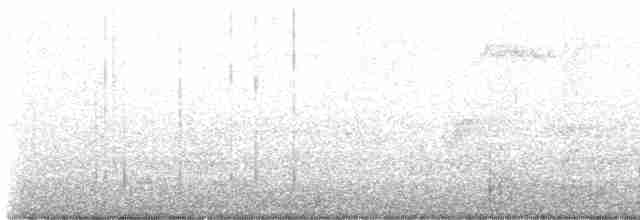 Юнко сірий [група oreganus] - ML616833428