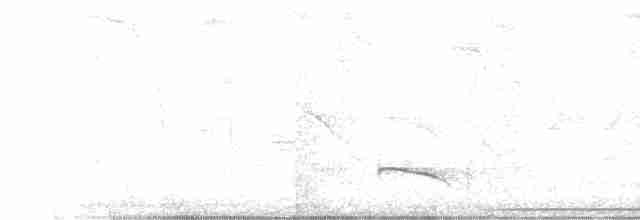 Bluish-gray Saltator - ML616834343