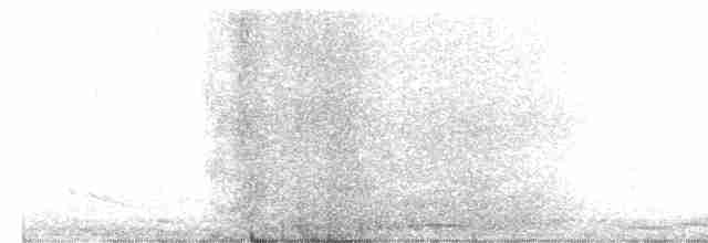 Cygne siffleur - ML616835069